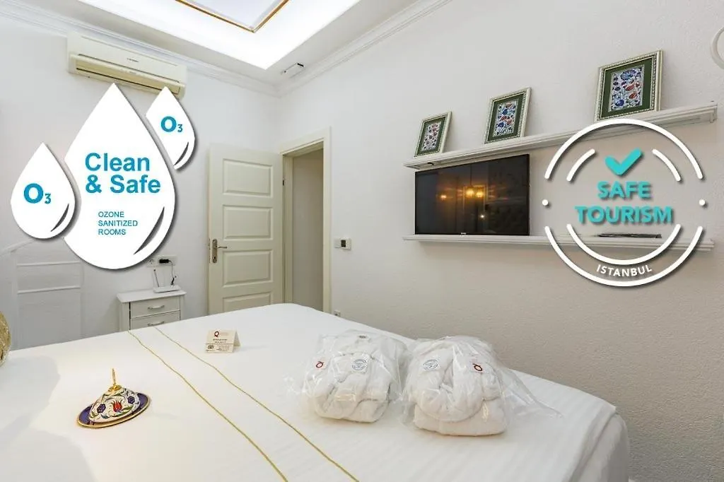 Sadaret Hotel-Old City Sultanahmet 伊斯坦布尔 公寓式酒店